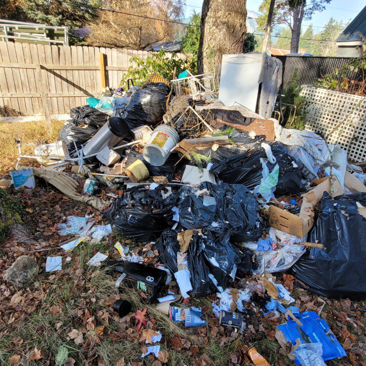 Yard Debris Removal