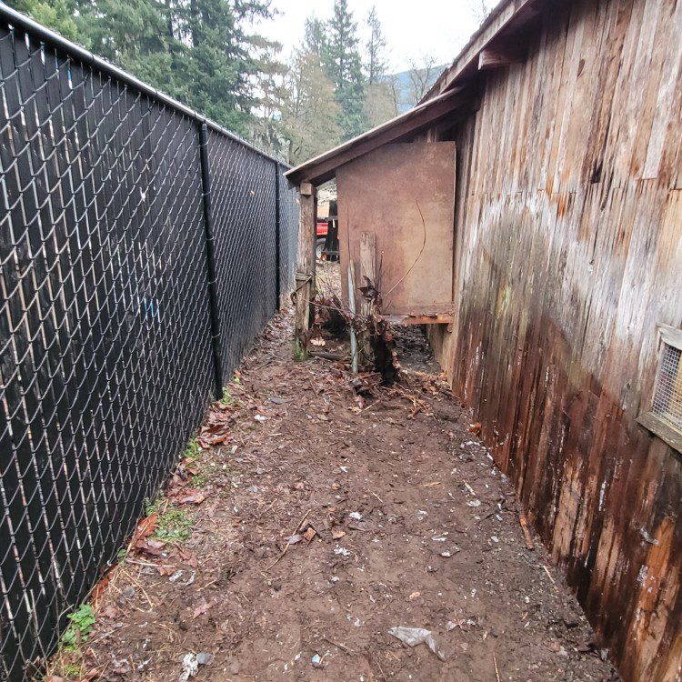 Yard Debris Removal